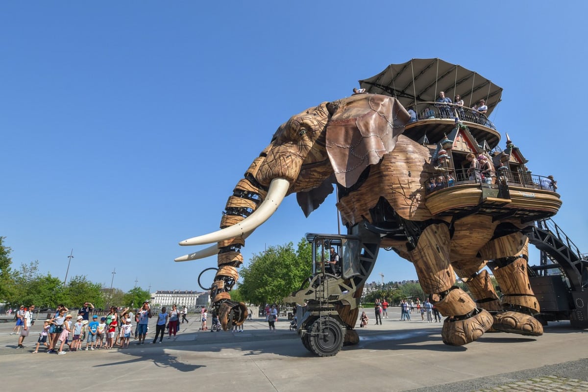 Animaux Nantes