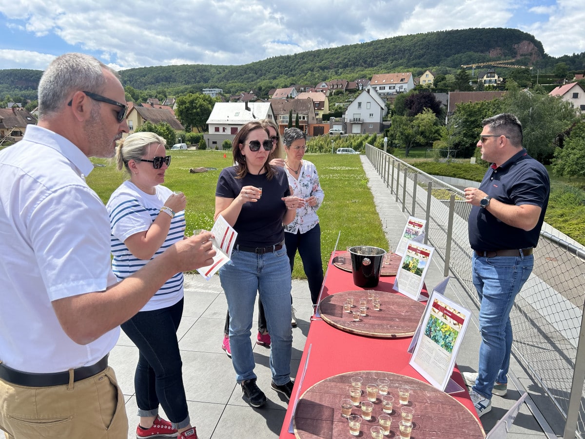 Grape variety tasting during the wine-themed team building event and wine olympiad with Autreman