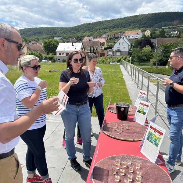 Dégustation de cépage lors du team building viticole et vin olympiades viticoles avec Autreman