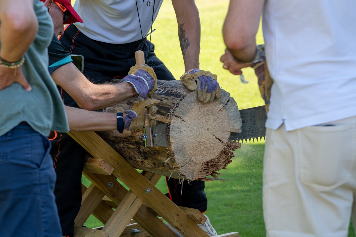 Team building jeux traditionnels - Scier