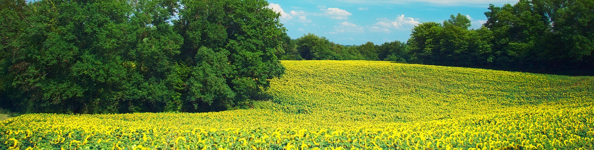 destination Gers pour votre séminaire