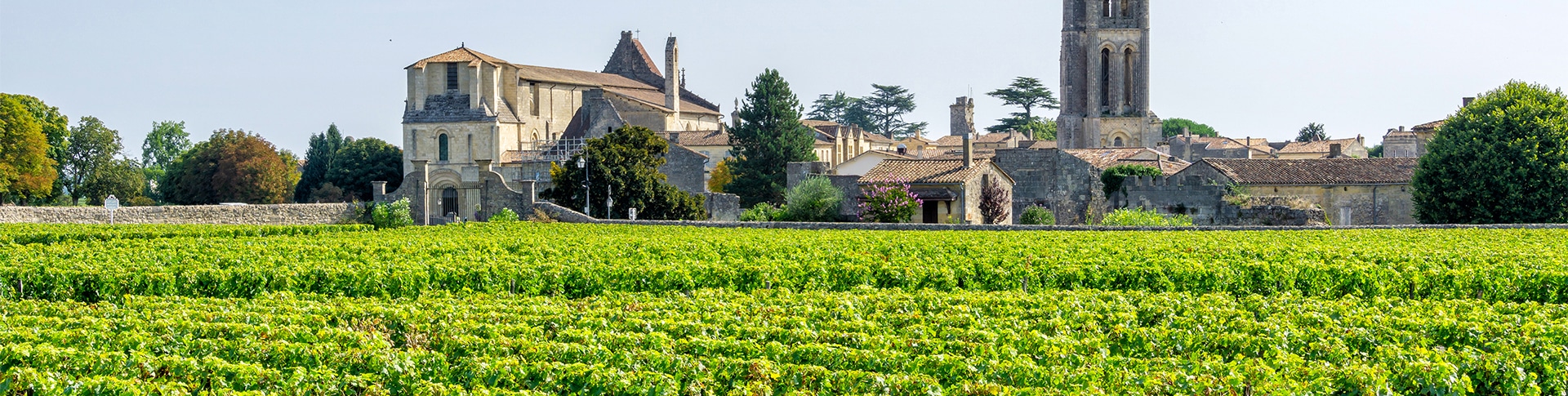 Votre séminaire à Saint Emilion