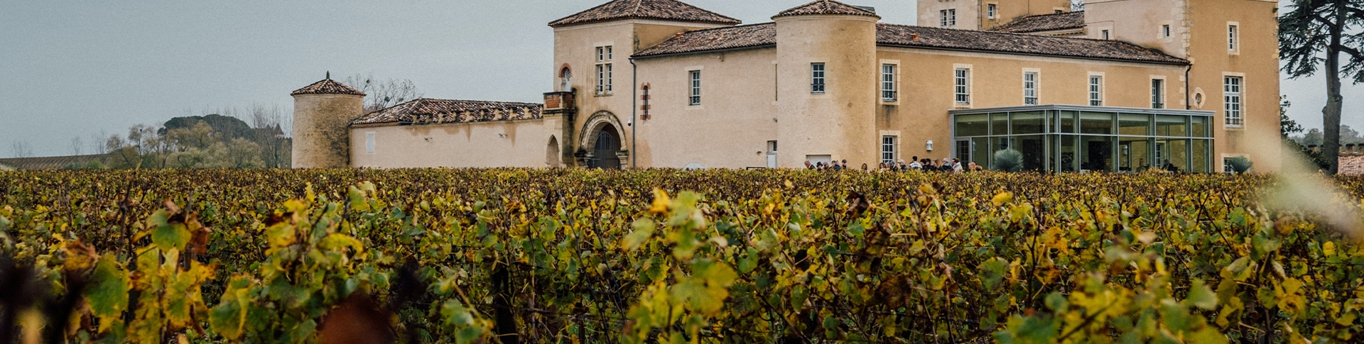 Destination Sauternes pour votre séminaire