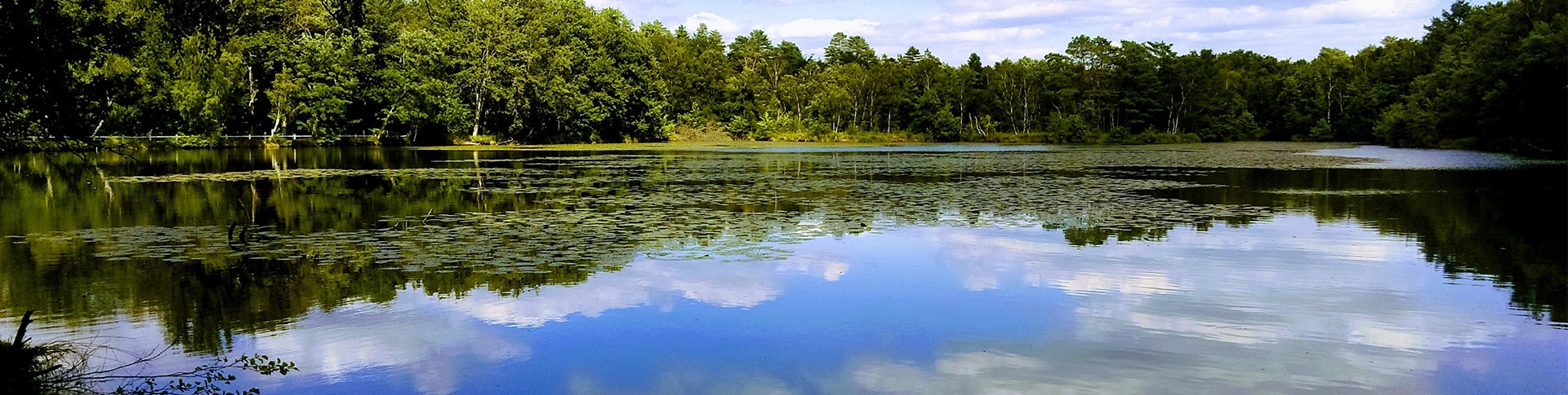 Votre séminaire en Sologne en France