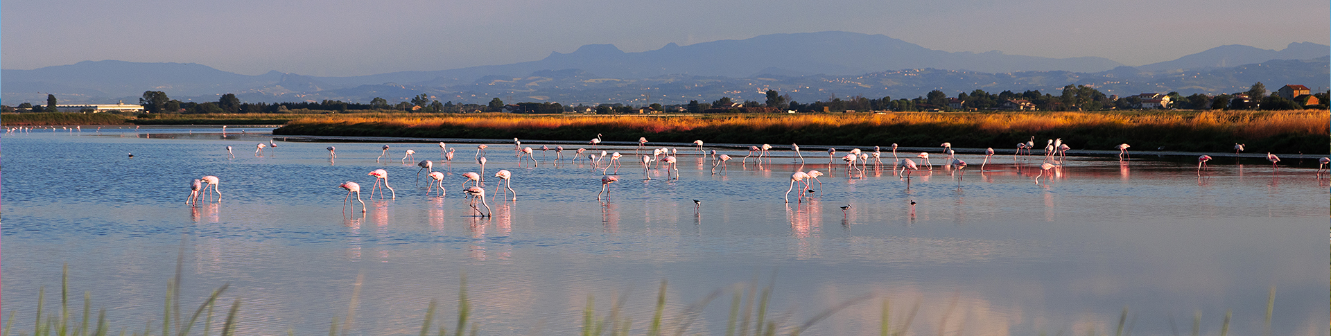 Destination team building en Camargue