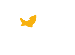 Carte région Normandie