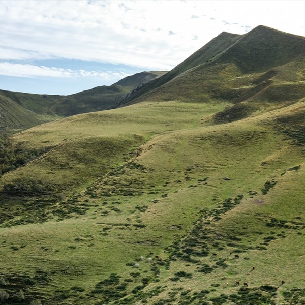 Séminaire en Auvergne