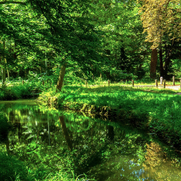 Destination séminaire au Bois de Boulogne en France