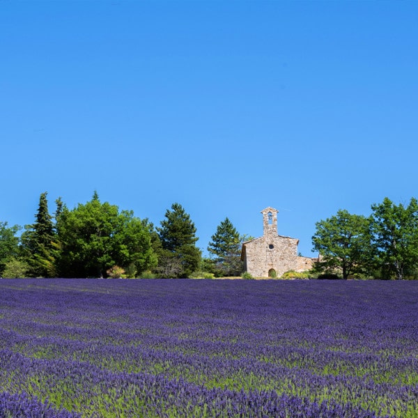 Séminaire dans la Drome