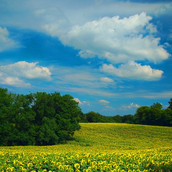 séminaire dans le Gers