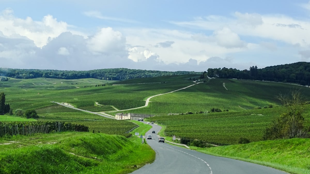 séminaire en pleine nature dans le Nord et Est