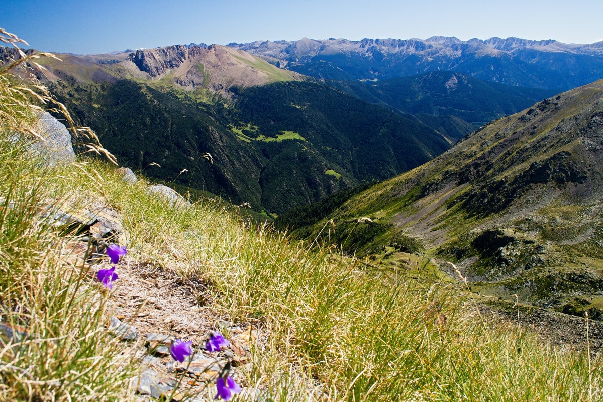 séminaire en pleine nature dans le sud ouest