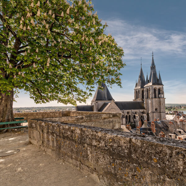 Découvrez le patrimoine de Blois lors d'un moment en équipe