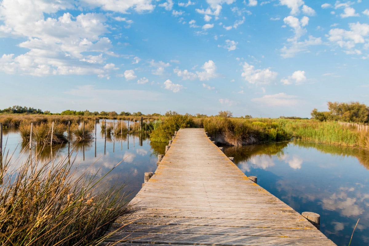 lieux uniques à découvrir lors de votre séminaire en Camargue