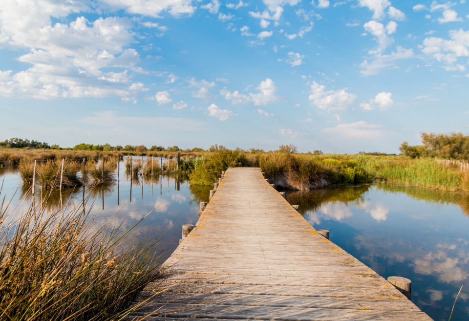 lieux uniques à découvrir lors de votre séminaire en Camargue