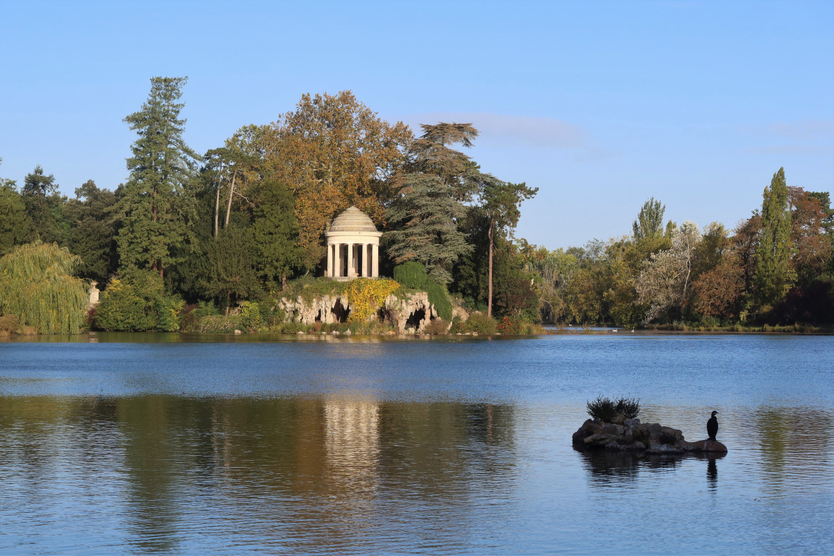 Activité de cohésion en pleine nature dans le bois de Vincennes