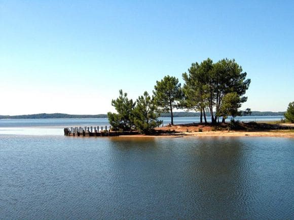 Activité de Team Building dans un cadre idéal à Lacanau