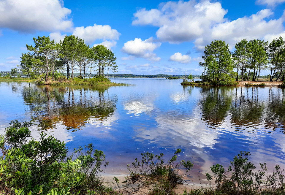 Team building en pleine nature à Lacanau