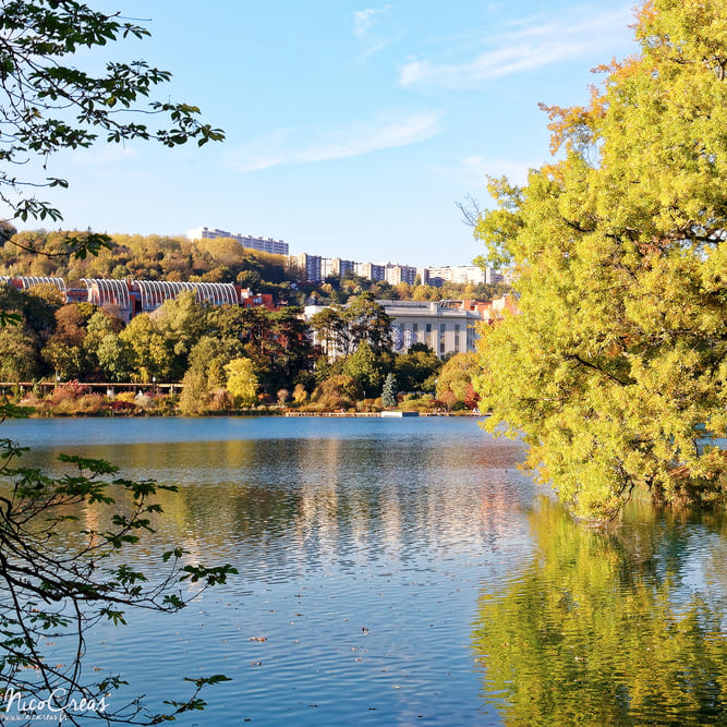 Explorez les espaces verts de Lyon lors de votre team building