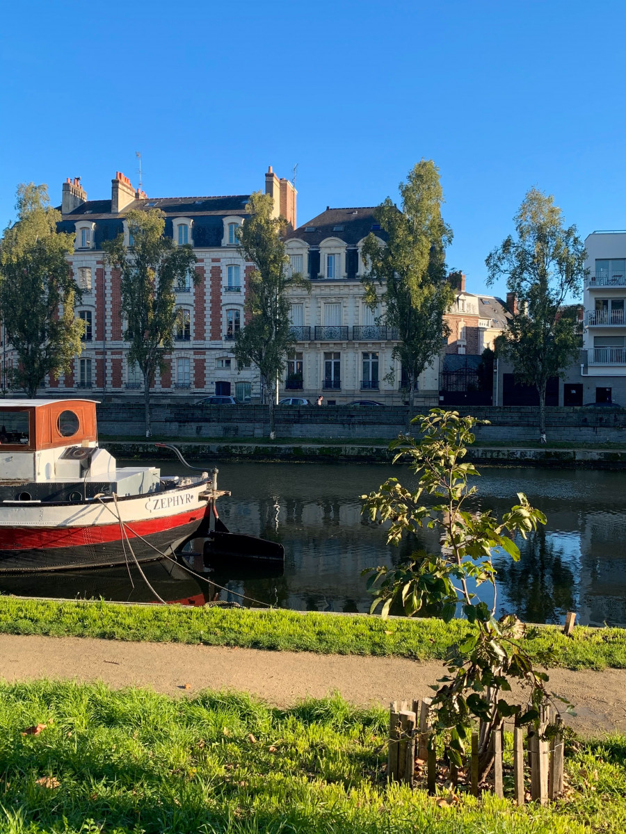 team building in the green spaces of Rennes