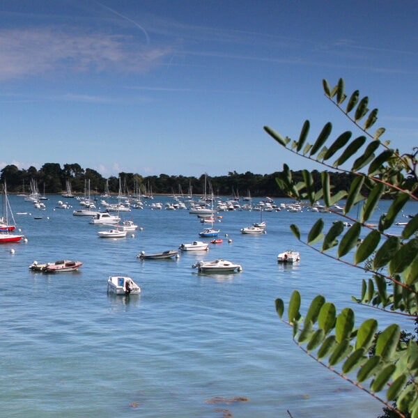 Partagez un moment de cohésion sur les plages du Morbihan