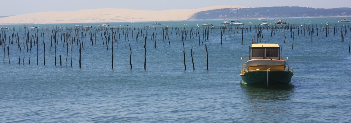 découverte du bassin d'Arcachon lors d'un événement d'entreprise