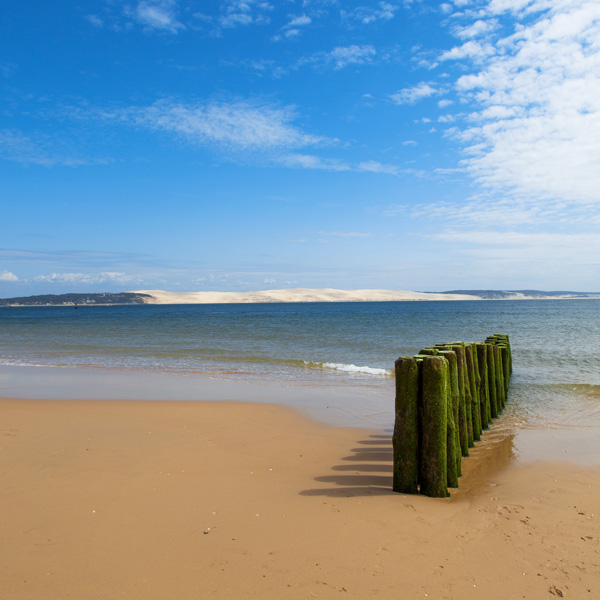 paysages uniques au Cap Ferret