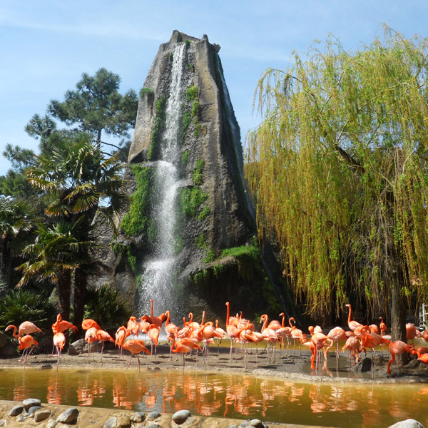 Votre incentive de qualité au zoo de la Palmyre