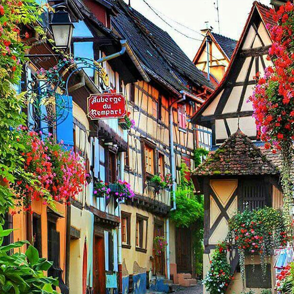 Team building en alsace cohésion equipe