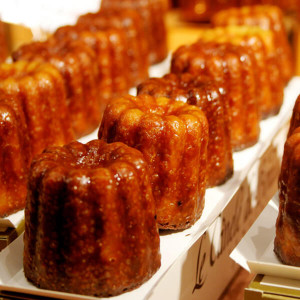 Dégustation et découverte pour votre moment de cohésion