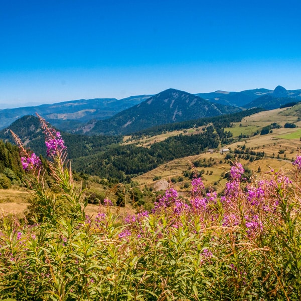 séminaire en pleine nature en Auvergne