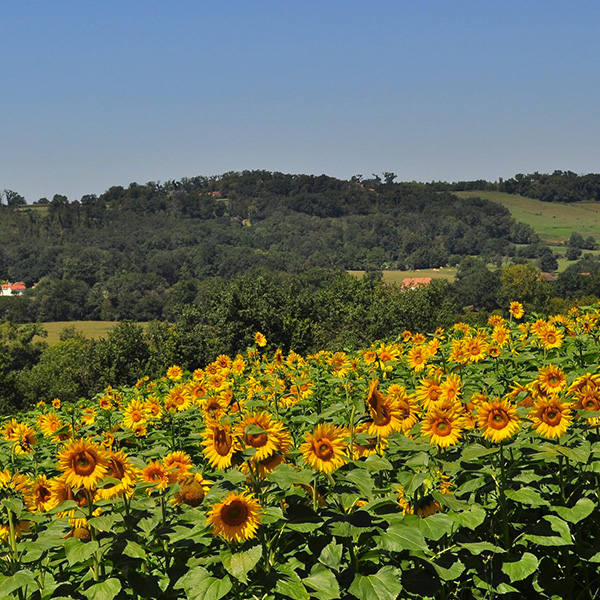 Découvrez les montagnes du Béarn avec un team building hors du commun