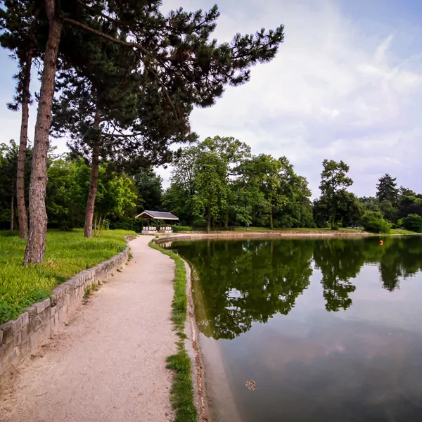 Séminaire en équipe dans le bois de Boulogne