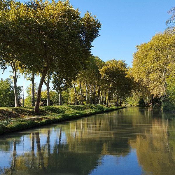 séminaire au vert à Carcassonne