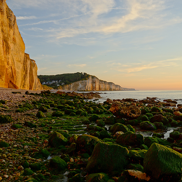 Paysage unique lors de votre séminaire en Normandie