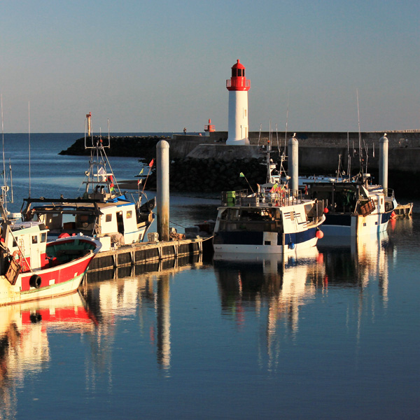 Votre séminaire clé en main sur l'Ile d'Oléron