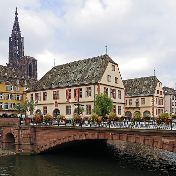 Un team building dynamique à Strasbourg