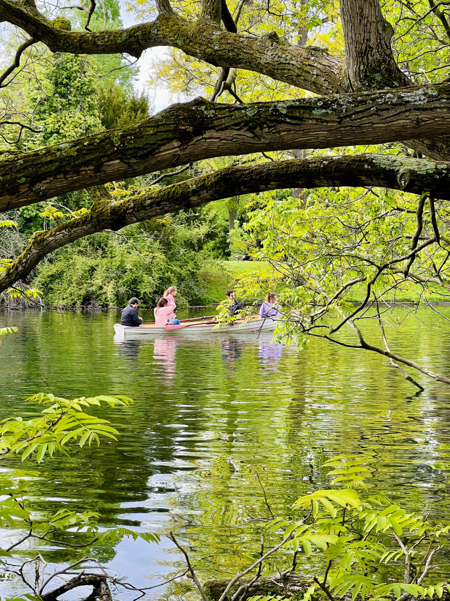 Activité ludique dans le bois de Boulogne