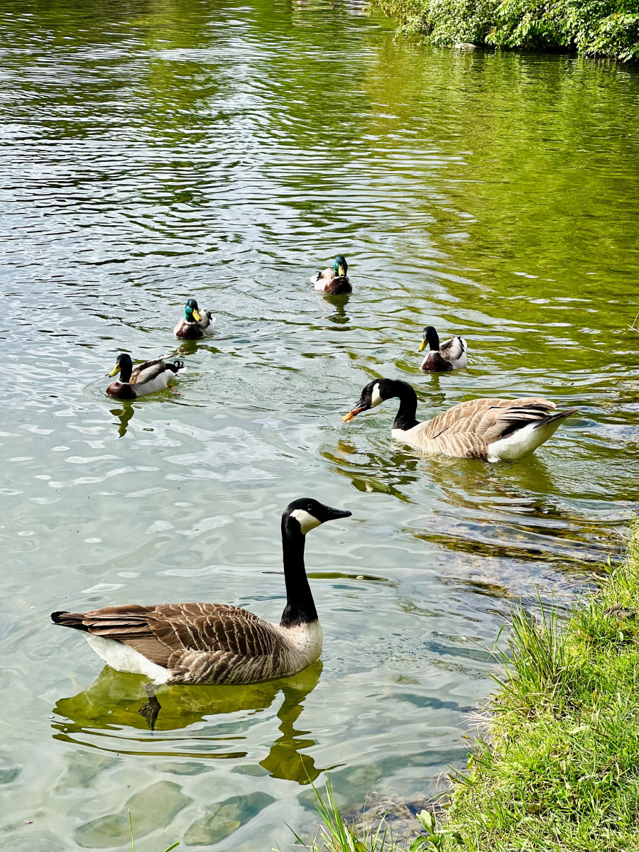 Séminaire au calme au bois de Boulogne