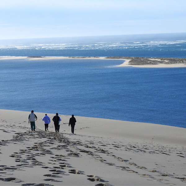 Jeux de cohésion au bord du bassin d'arcachon