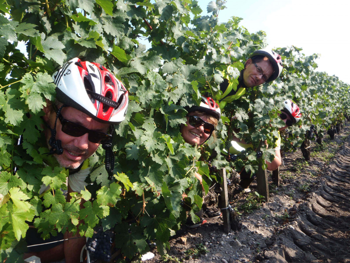 Team Building dans les vignobles bordelais