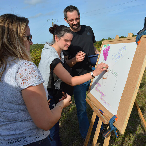 Organiser un Team Building à Carcassonne et dans l'Aude (11)