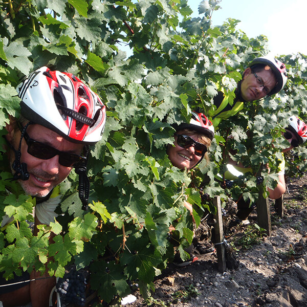 team building rallye vélo dans les vignobles