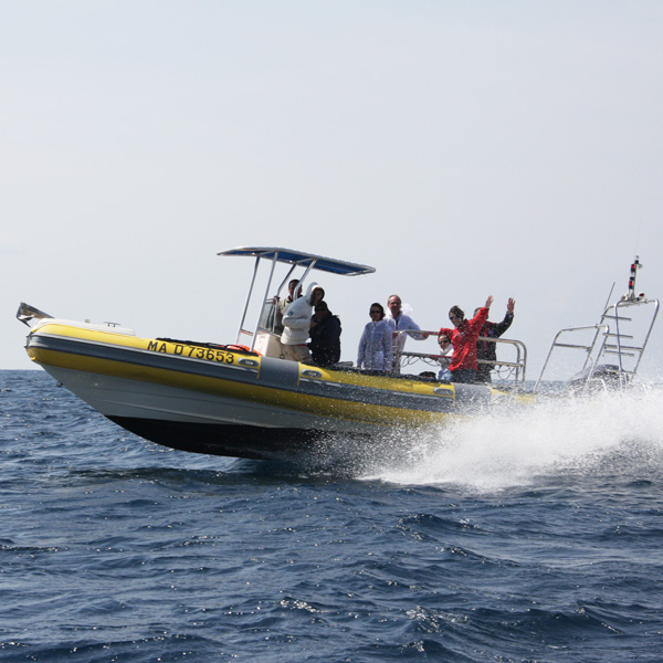 Activité sur l'eau de cohésion avec des bateaux