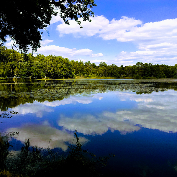 Un séminaire au coeur de la nature en Sologne