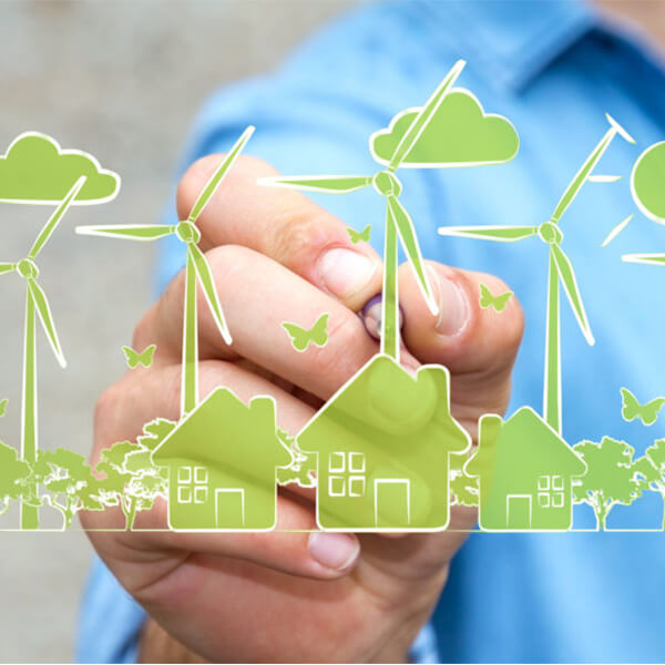 Team building digital et écologique pour votre entreprise