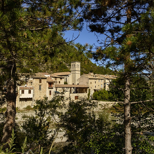 séminaire en pleine nature en drome