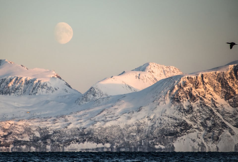 illustration page accueil hiver montagnes