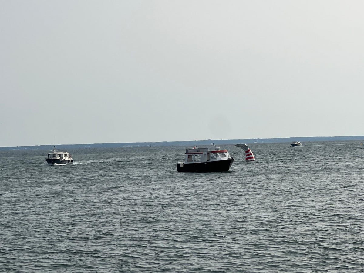 team building raid nautique, une activité fédératrice et originale