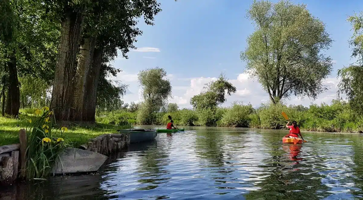 Incentive Canoe Kayak